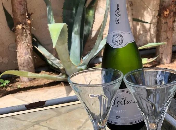 Casa Diego Ibiza 招待所 4*